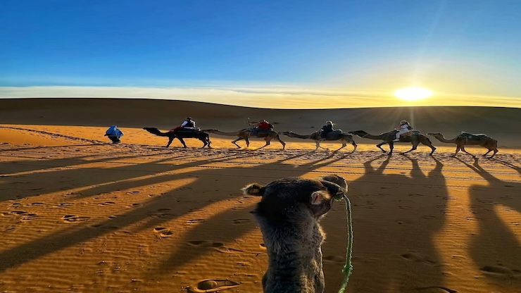 4 day desert tour from Errachidia to Marrakech: Sahara tour photo 3