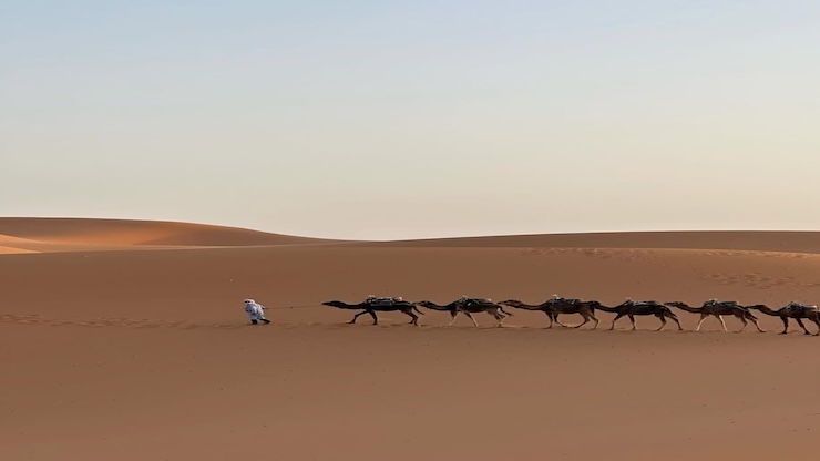 5 days tour from Fes to Marrakech via the Sahara desert: Sahara tour photo 3